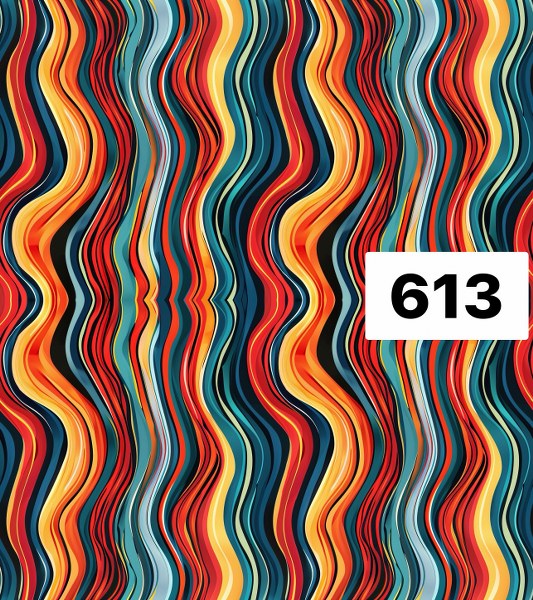รหัสลายผ้า 613