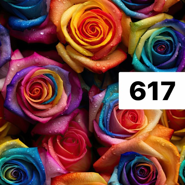 รหัสลายผ้า 617
