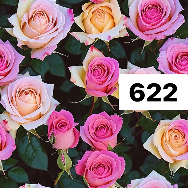 รหัสลายผ้า 622