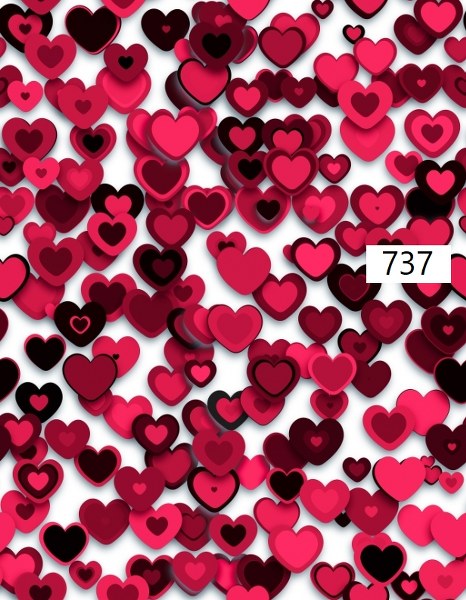 รหัสลายผ้า 737