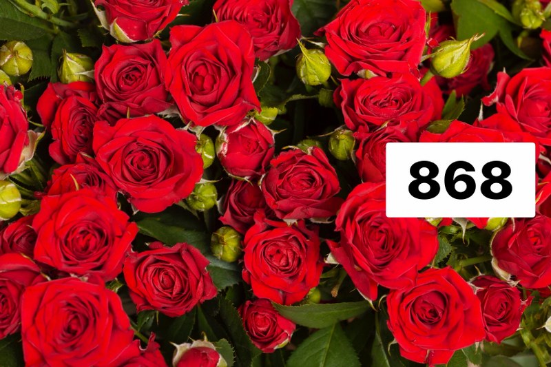 รหัสลายผ้า 868