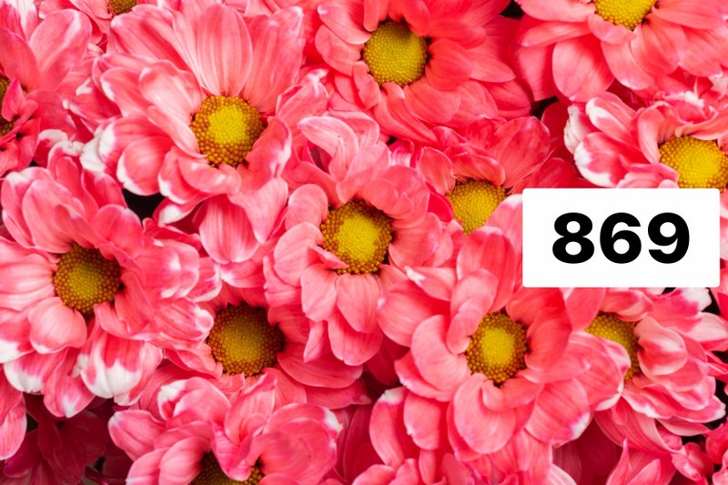 รหัสลายผ้า 869